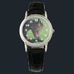 Reloj De Pulsera Caballo marrón bonito en la hierba<br><div class="desc">Un reloj con una bonita fotografía de un hermoso caballo marrón tendido en el césped, que parece tranquilo y contento.</div>