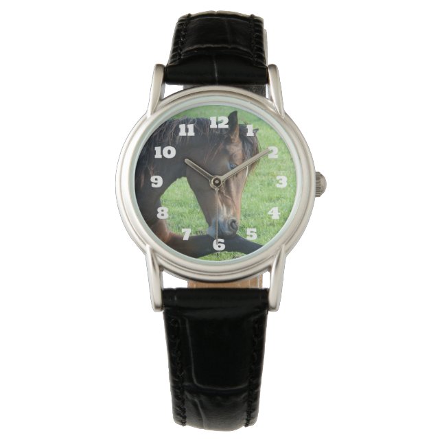 Reloj De Pulsera Caballo marrón bonito en la hierba (Anverso)