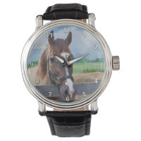 Caballo marrón con halter
