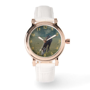 Reloj De Pulsera Caballo Rojo Escaneado Que Alardea En Paddock,