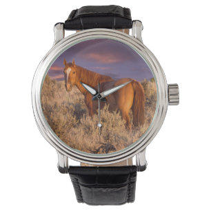 Reloj De Pulsera Caballo salvaje del condado de Harney permanece al