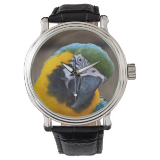 Reloj De Pulsera cabeza de macarro de loro azul inclinada