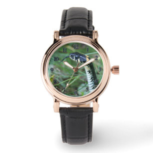 Reloj De Pulsera Cabeza de serpiente