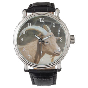 Reloj De Pulsera Cabra