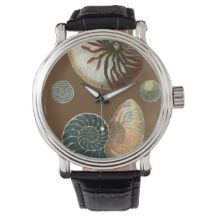Reloj De Pulsera Cacao Shell