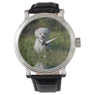 Reloj De Pulsera Cachorro blanco lindo