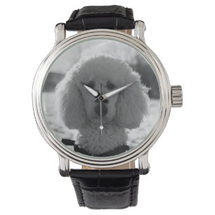 Reloj De Pulsera Cachorro de cara de caniche en blanco y negro ojos