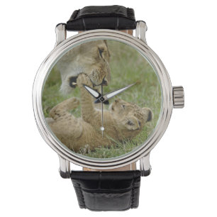 Reloj De Pulsera Cachorro de León Jugando