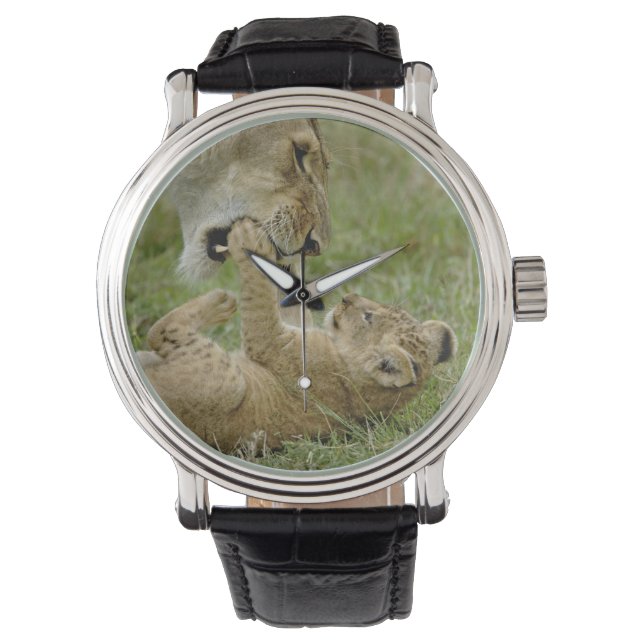Reloj De Pulsera Cachorro de León Jugando (Anverso)