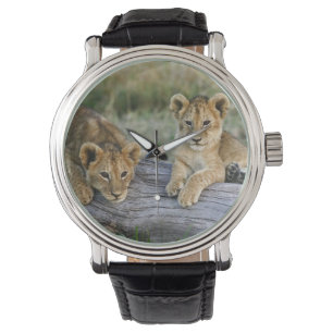 Reloj De Pulsera Cachorros de León en Tronco