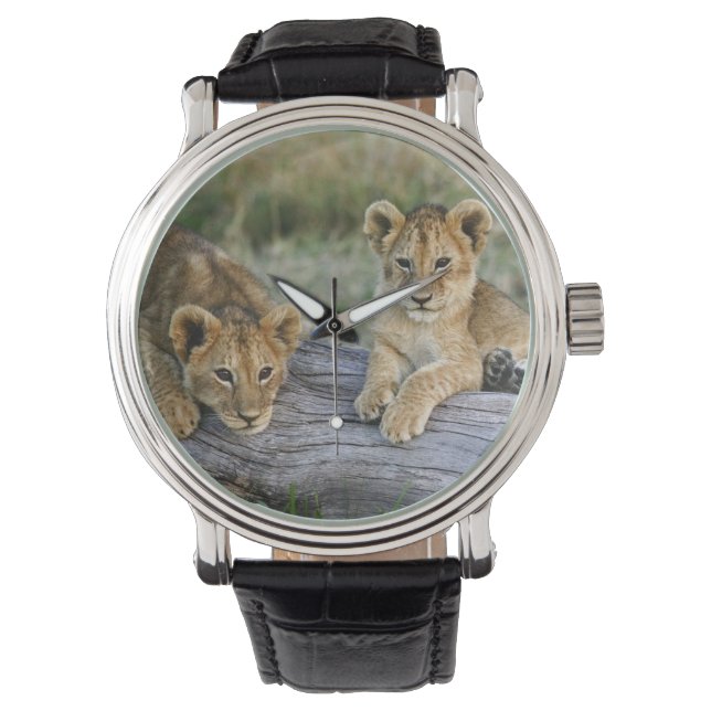 Reloj De Pulsera Cachorros de León en Tronco (Anverso)