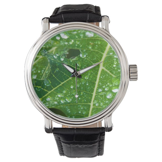 Reloj De Pulsera Cae la lluvia en la hoja verde de papaya (Anverso)