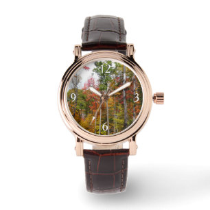 Reloj De Pulsera Caída en la colorida fotografía de otoño en el bos