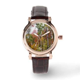 Reloj De Pulsera Caída en la colorida fotografía de otoño en el bos