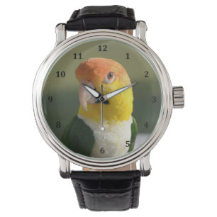 Reloj De Pulsera Caique Parrot de Cuello Blanco