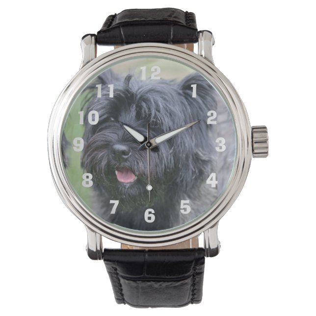 Reloj De Pulsera Cairn (Anverso)