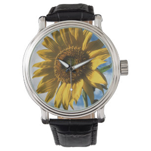 Reloj De Pulsera California, Un Girasol Gigante (Helianthus) 2