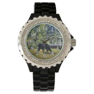 Reloj De Pulsera Caminando por el oso negro y la pastura forestal F