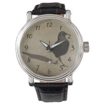 Caminar Por El Paseo