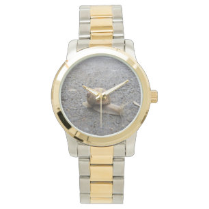 Reloj De Pulsera Caminata de caracoles
