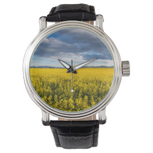 Reloj De Pulsera Campo de canola en luz de última hora de la tarde