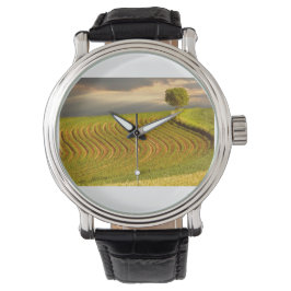 Reloj De Pulsera Campo verde 11