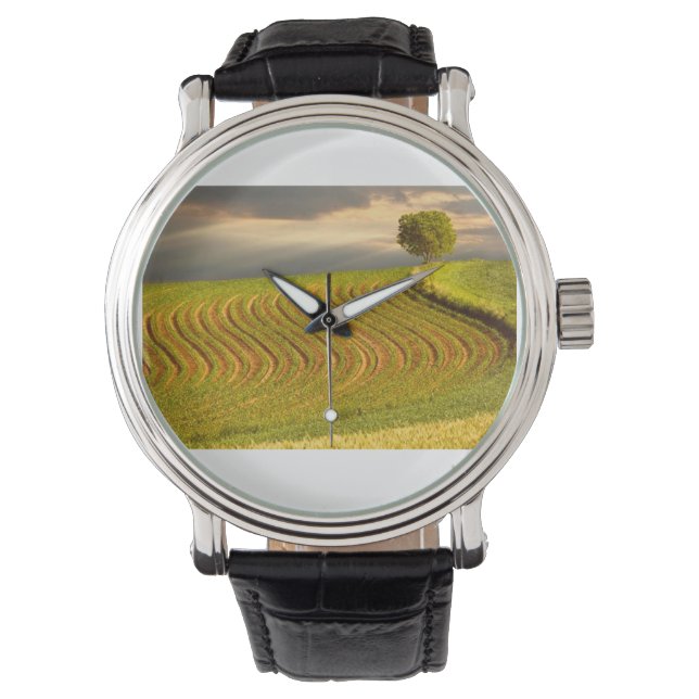 Reloj De Pulsera Campo verde 11 (Anverso)
