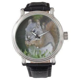 Reloj De Pulsera Canadá, Columbia Británica, ardilla roja del pino