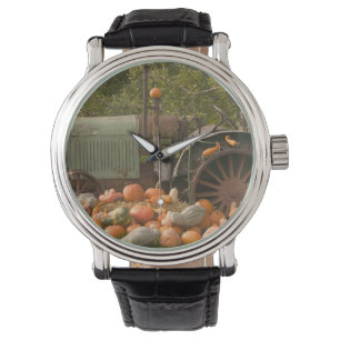 Reloj De Pulsera CANADÁ, Columbia Británica, Keremeos. Otoño / 2