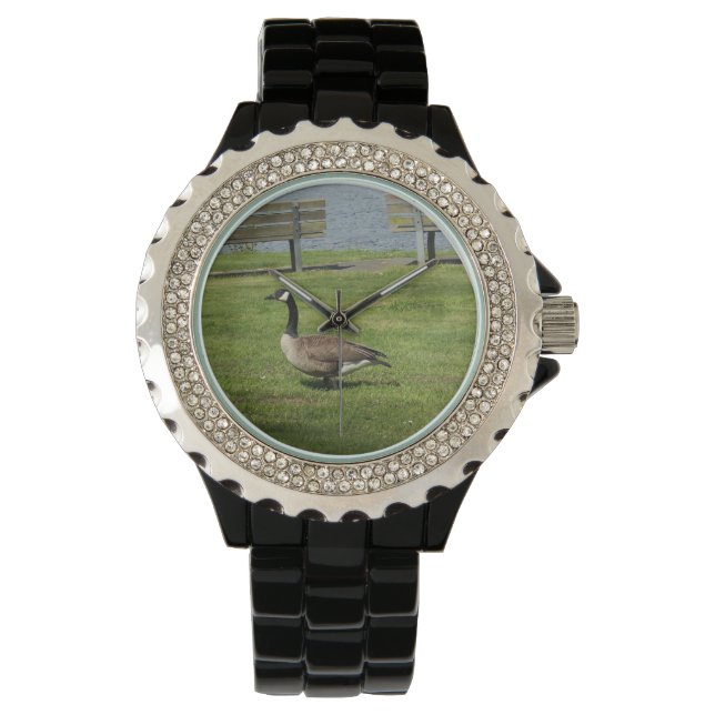 Reloj De Pulsera Canada Goose (Anverso)