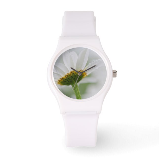 Reloj De Pulsera Canadá, Nuevo Brunswick, (Anverso)