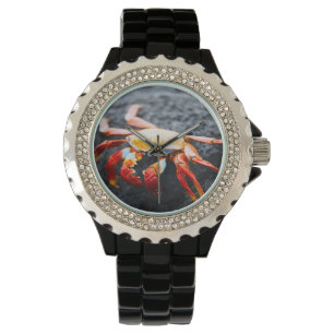 Reloj De Pulsera Cangrejo del lightfoot de Sally en una roca negra