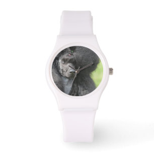 Reloj De Pulsera Caniche negro lindo