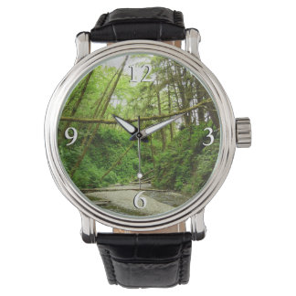 Reloj De Pulsera Cañón Fern I en el Parque Nacional Redwood