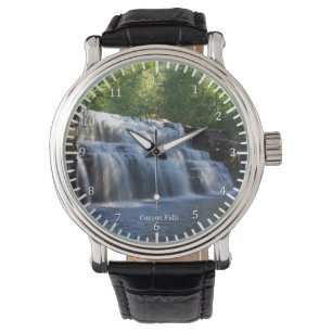 Reloj De Pulsera Canyon Falls watch