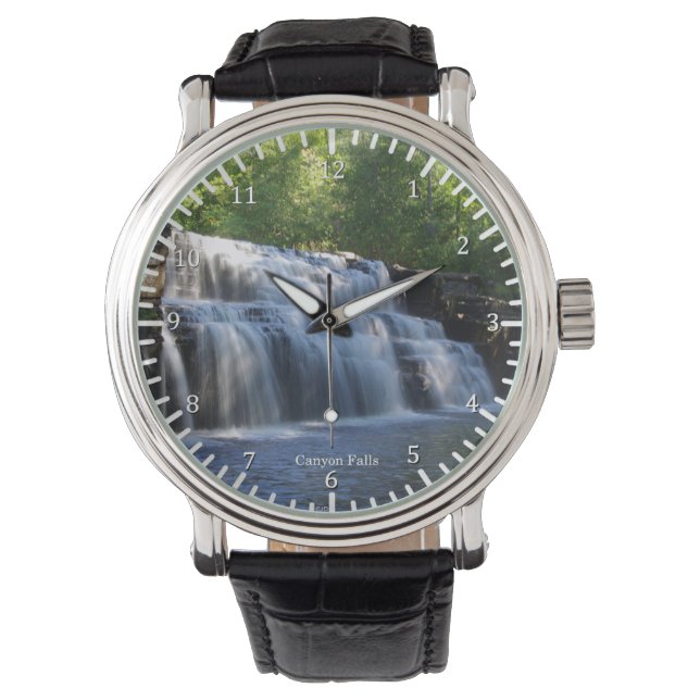 Reloj De Pulsera Canyon Falls watch (Anverso)