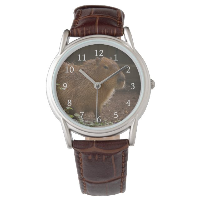 Reloj De Pulsera Capibara (Anverso)