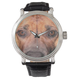 Reloj De Pulsera Cara de Staffordshire Bull Terrier