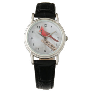 Reloj De Pulsera Cardenal del norte en una rama