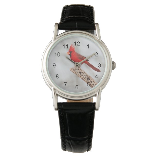 Reloj De Pulsera Cardenal del Norte en una rama (Anverso)
