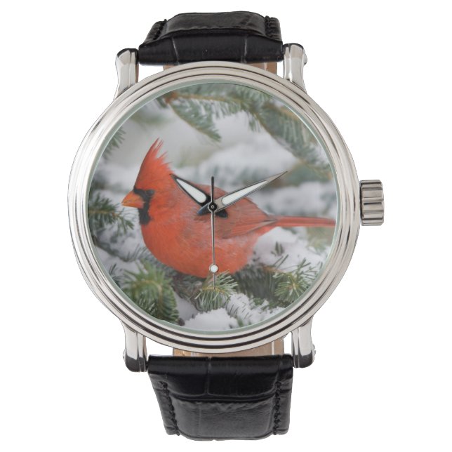 Reloj De Pulsera Cardenal norte en árbol de abeto de Balsam en invi (Anverso)
