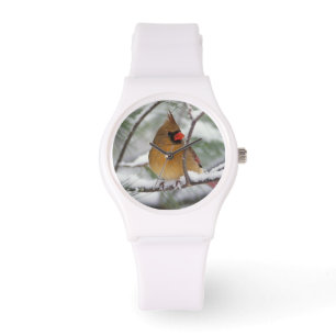 Reloj De Pulsera Cardenal norte hembra en pino nevado,