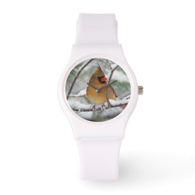 Reloj De Pulsera Cardenal norte hembra en pino nevado, (Anverso)