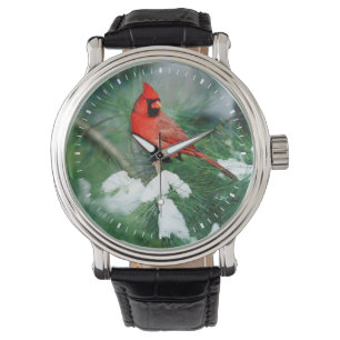 Reloj De Pulsera Cardenal norteño macho en árbol, IL