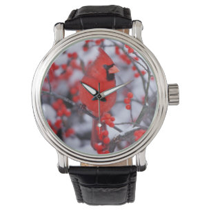 Reloj De Pulsera Cardenal norteño macho, invierno, IL