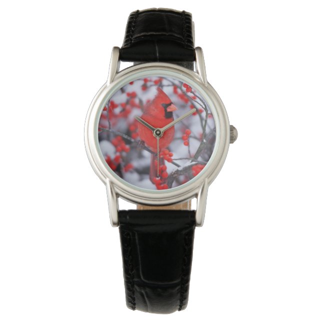 Reloj De Pulsera Cardenal norteño macho, Invierno, IL (Anverso)
