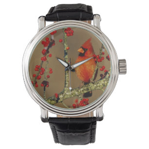 Reloj De Pulsera Cardenal norteño macho posado, IL