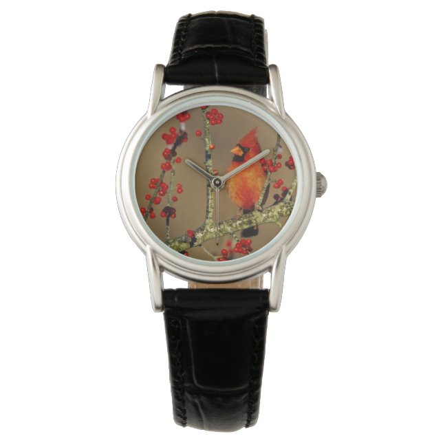Reloj De Pulsera Cardenal norteño macho posado, IL (Anverso)