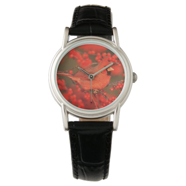 Reloj De Pulsera Cardenal rojo del norte macho, IL (Anverso)