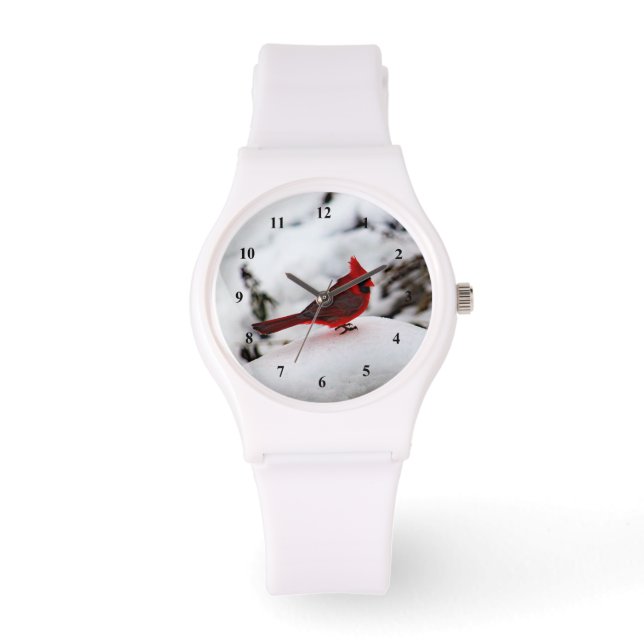 Reloj De Pulsera Cardinal 6239 Watch (Anverso)